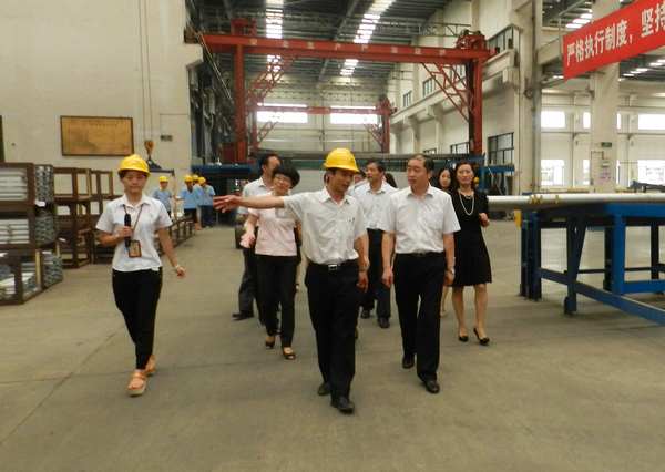 徐州市人大常委会常委张亚率团莅临我公司指导事情