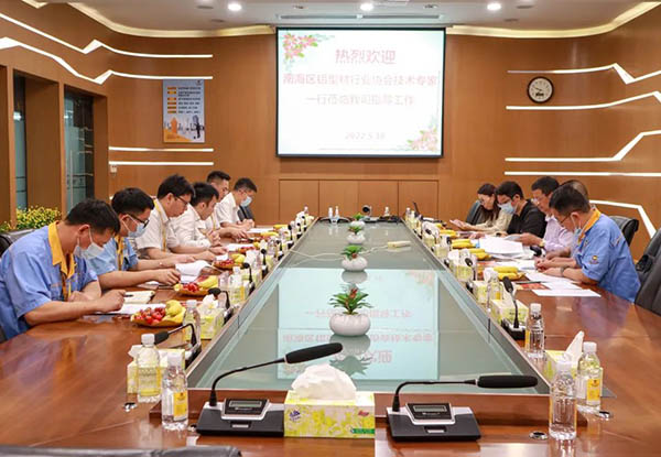 南海区铝型材行业协会手艺专家一行莅临mg冰球突破集团指导事情。。。